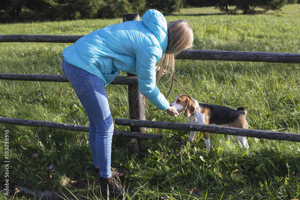 Beautiful girl playing with a beagle dog
