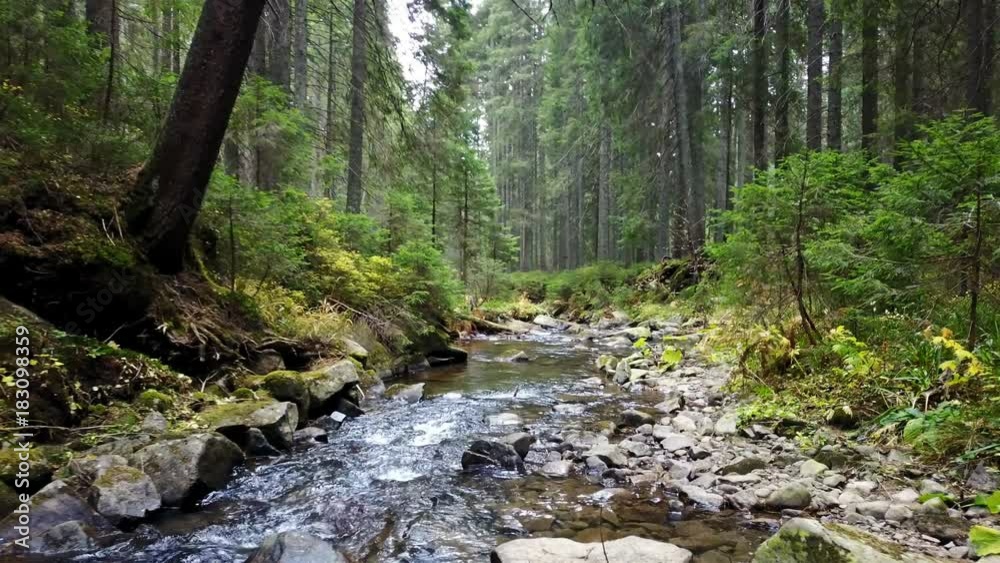 A view of a mountain stream that flows down a slope of stones A view of a mountain stream that flows down a slope of stones
