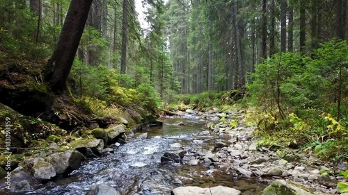 A view of a mountain stream that flows down a slope of stones