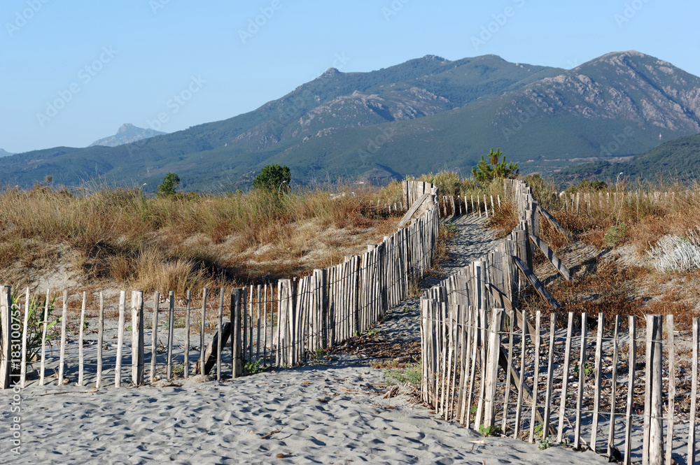protection contre l'érosion des dunes sur la côte est de Corse