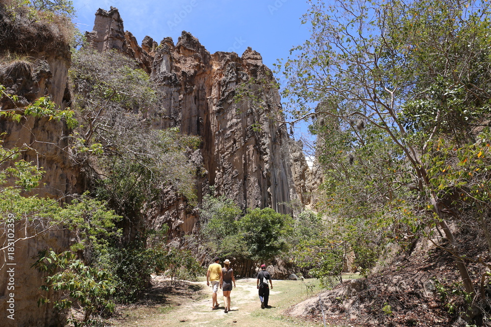 Naklejka premium A Tour through the Los Estoraques, Playa De Belen, Colombia