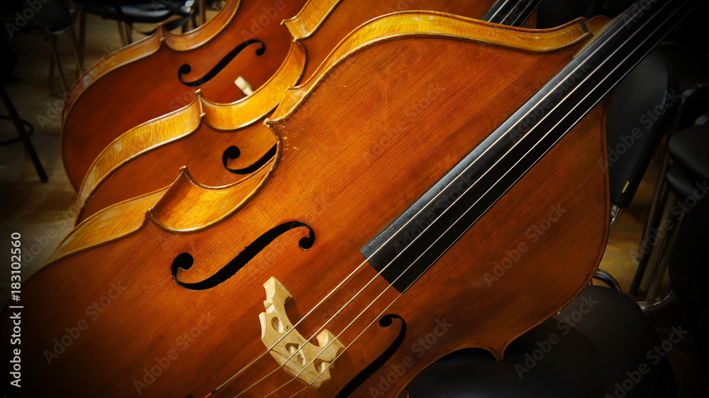 Fototapeta premium Contrabasses lying on the chairs