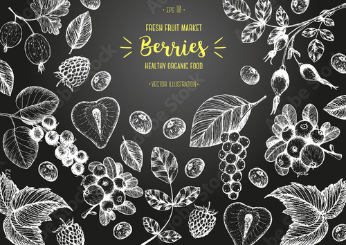 Berries hand drawn vector illustration frame. Healthy food design template with berries