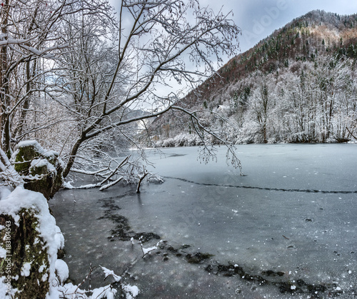 Gefrorener Teich im Erlauftal photo