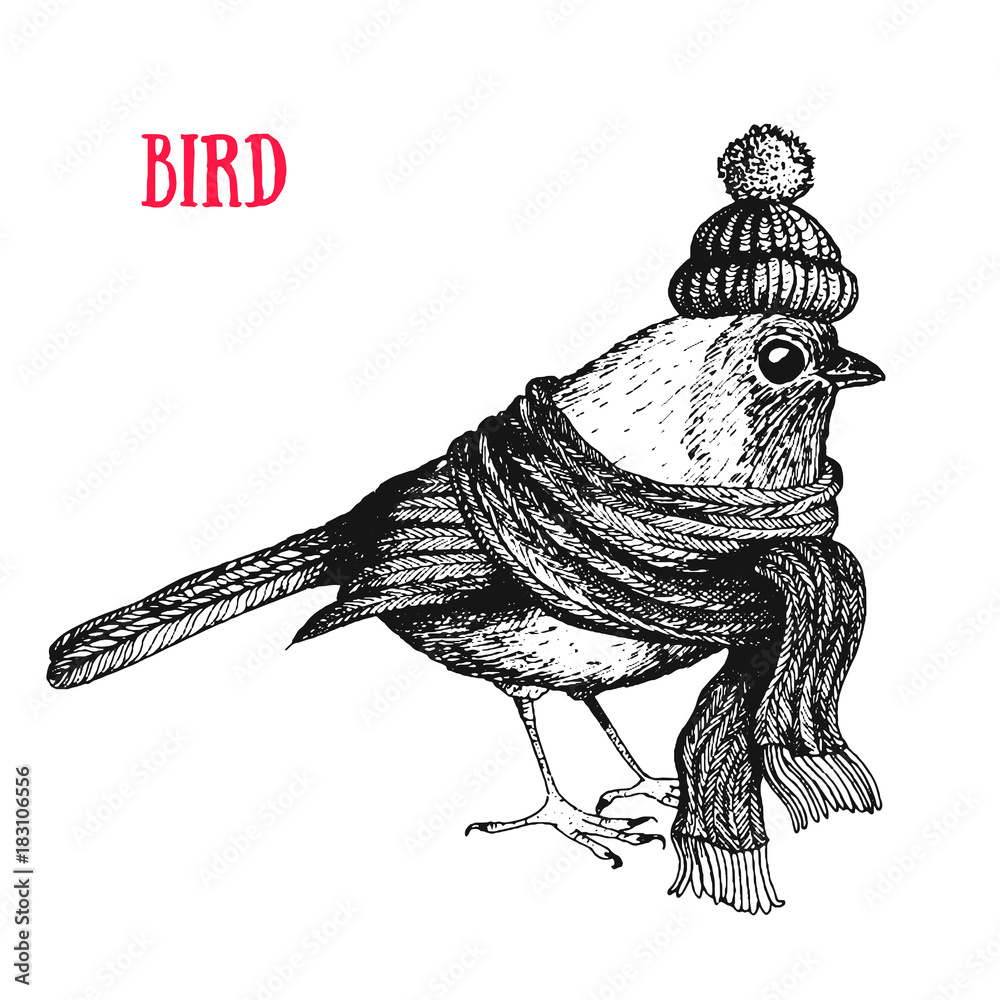 Bird vector illustration. Vintage bird in a scarf and hat. Autumn ...