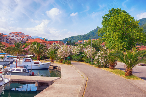 Footpath to blossoming park in Mediterranean town of Tivat. Montenegro