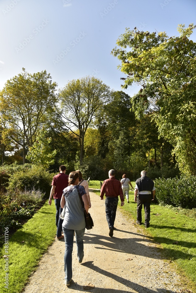 Promenade entre amis sous un soleil d'automne ,au Vrijbroekpark à Malines Promenade entre amis sous un soleil d'automne ,au Vrijbroekpark à Malines