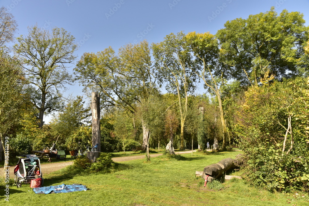 Pelouse le long du chemin aux arbres coupés au Vrijbroekpark à Malines