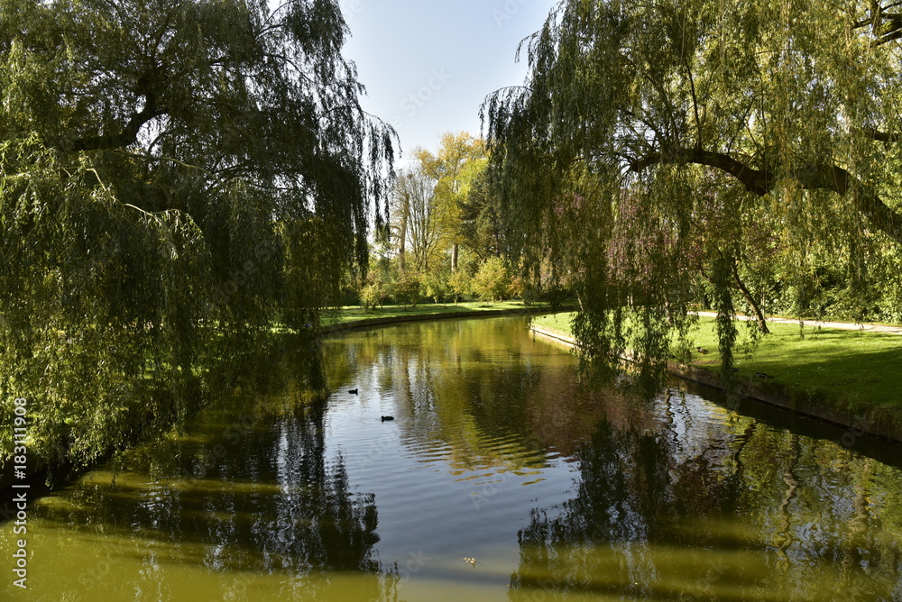 Bras de l'étang principal, ombragé sous les feuillage des arbres au Vrijbroekpark à Malines