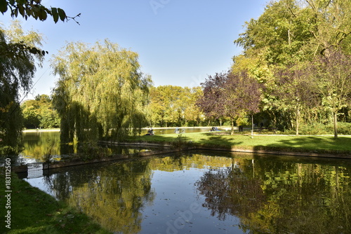 Petit muret coupant le chenal avant l'étang principal sous la nature luxuriante en automne au Vrijbroekpark à Malines