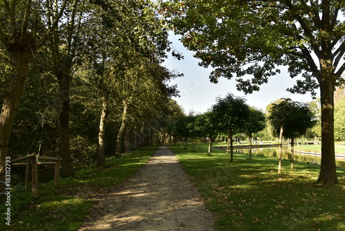 Chemin ombragé longeant un bois très dense et le chenal principal sous le soleil au Vrijbroekpark, à Malines