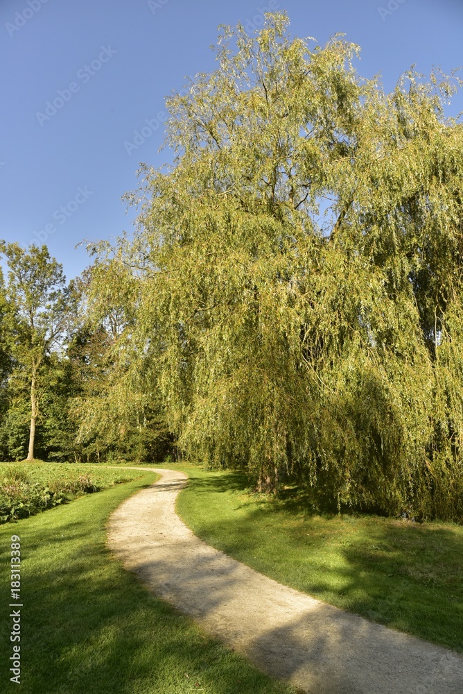 Chemin en gravier concassé au milieu d'un étroit gazon entre bois et végétation ,au Vrijbroekpark à Malines