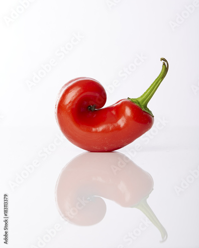 Curled bright red hot chili pepper on a white surface photo