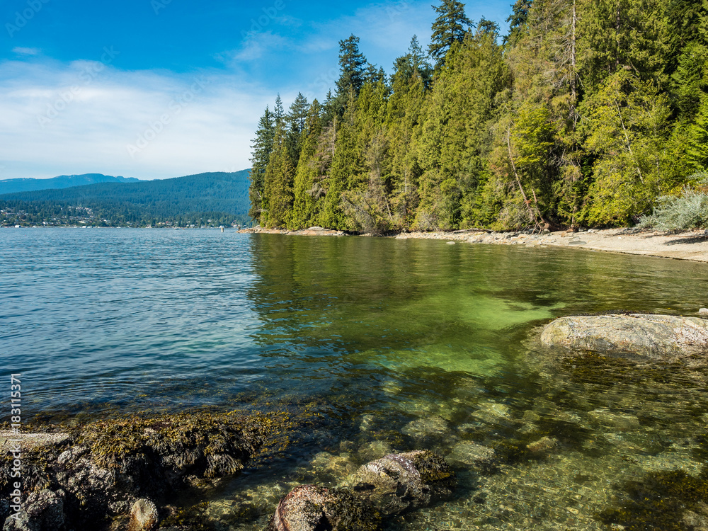 shore line with forest on the right and green clear water on the left