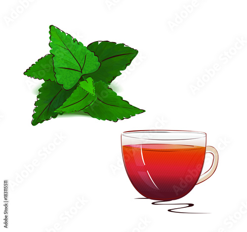 Mint and tea