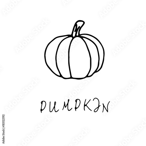 Pumpkin, contour, hand