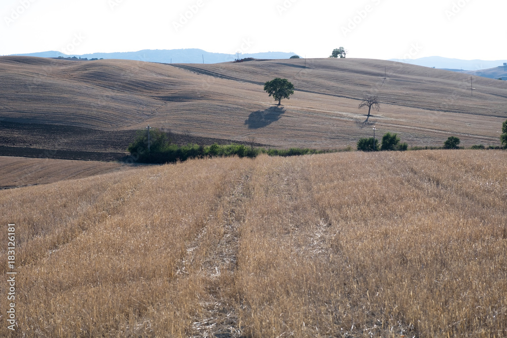 Plowed field ready to be cultivated in Val d'Orcia, Tuscany