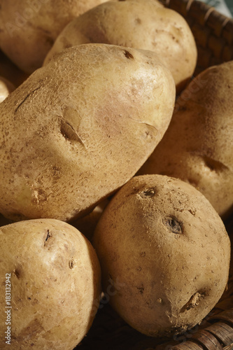 whole, fresh, raw white potatoes from Lancaster County, Pennsylvania, USA