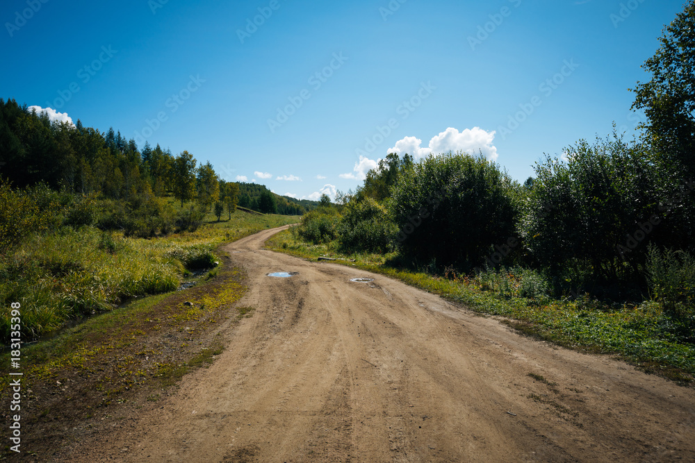 Fototapeta premium trail in the forest under blue sky