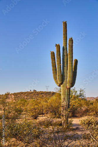 Exploring Arizona Landscapes