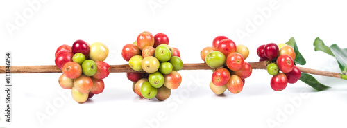 fresh coffee beans on white background ,concept food and drink. © amnarj2006