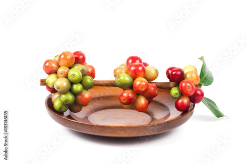 fresh coffee beans on dry coffee beans in wood dish.