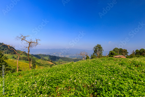 Landscape of countryside in the northern of Thailand.