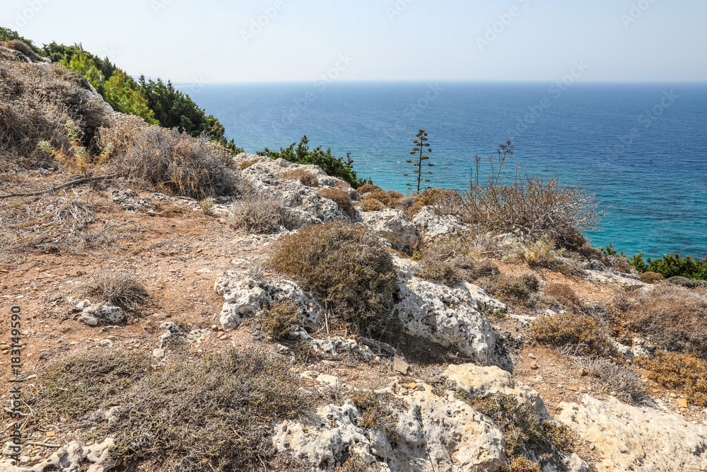 coastal landscape  on the way to the Acropolis of Rhodes, Greece