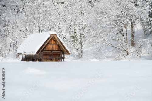 Historic Villages of Shirakawa-go, Japan in snowy day. © pattarastock