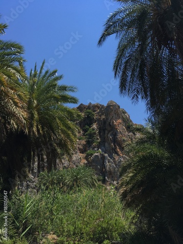 Palmenwald Kreta