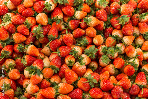 Group of fresh organic strawberry macro. Fruit background photo