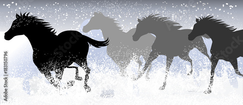 Horses in Snow field, Silhouette