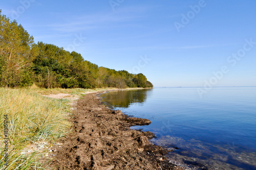 Naturstrand am Gelben Ufer, Zudar, Insel Rügen photo