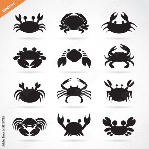 Set of vector crab icons on white background. Aquatic animals.