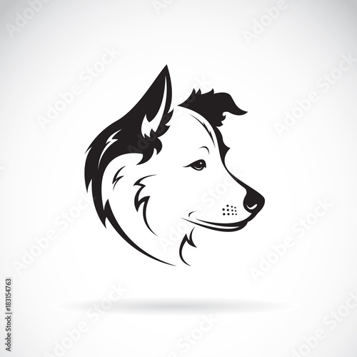 Obraz na plátně Vector of a border collie dog on white background. Pet. Animal.