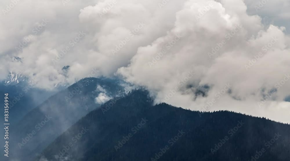 Cloud and fog at Hurricane Ridge, Olympic National Park, Washington state, United States Cloud and fog at Hurricane Ridge, Olympic National Park, Washington state, United States