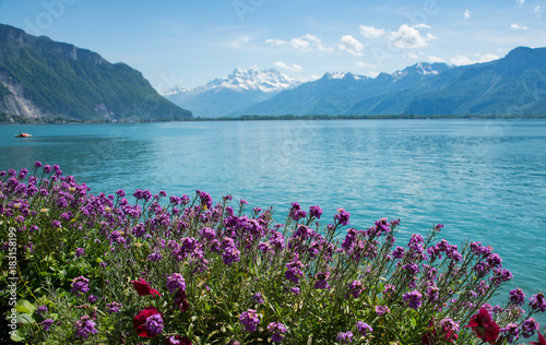 flowers and landscape mountain,Switzerland
