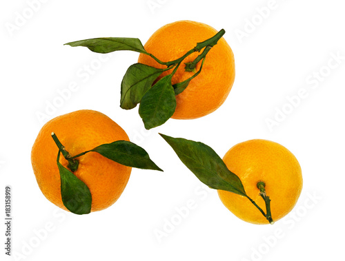 Top view of tangerines with...