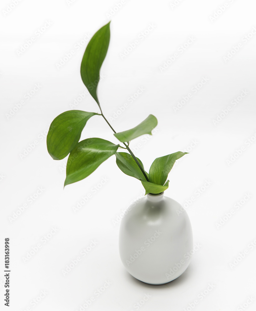 Pottery Vase Green Leaf on white background Pottery Vase Green Leaf on white background