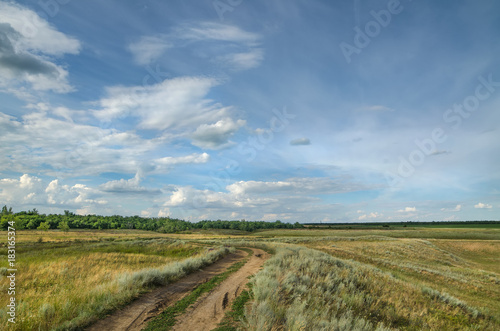 Russian steppe