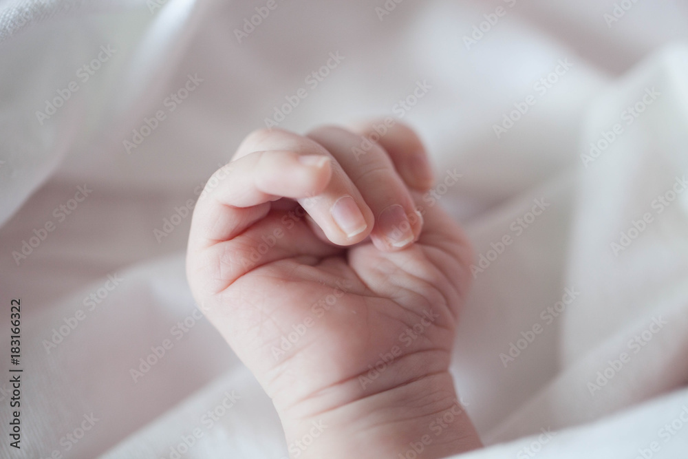 hand of a newborn on a white background. hand of a newborn on a white background.