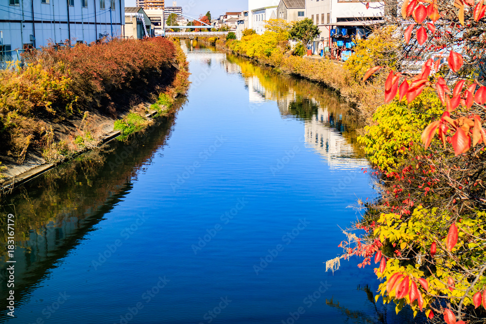 Fototapeta premium 秋の川