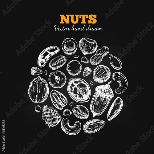 Nuts and seeds collection. Vector Hand drawn objects . Isolated on white.