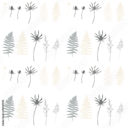 Meadow grasses  flowers  herbs and fern leaves floral vector seamless pattern.