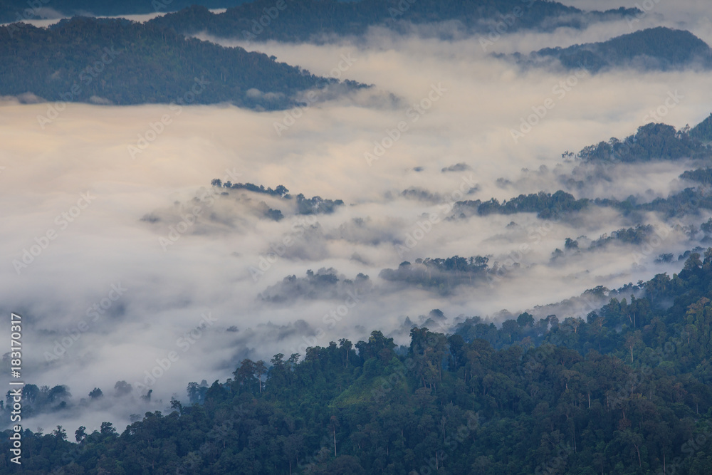 Landscape sea of mist in Kanchanaburi province  border of Thailand and Myanmar.