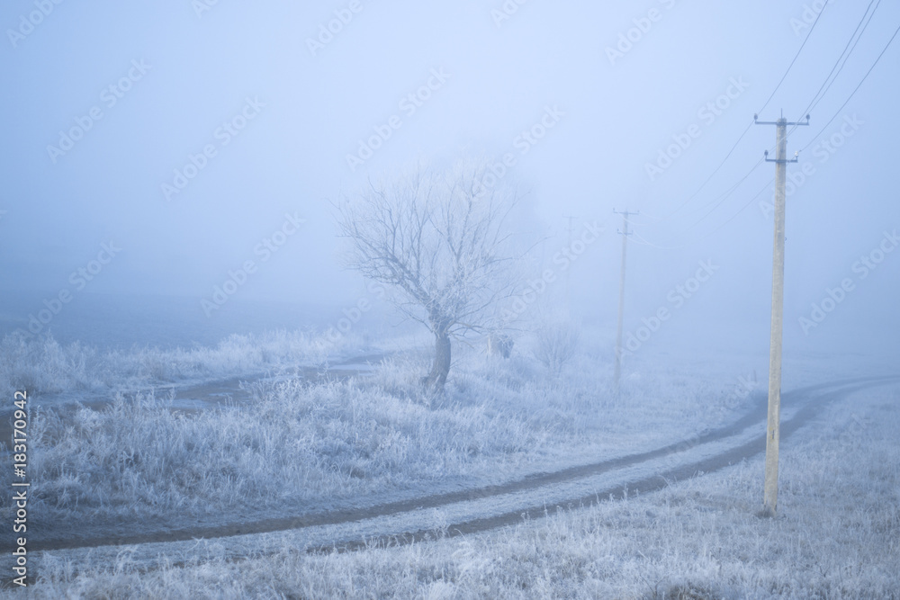 Frosty misty morning landscape in the village. Frosty misty morning landscape in the village.