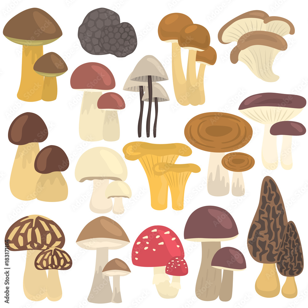 Set of edible and poison mushrooms color flat icons