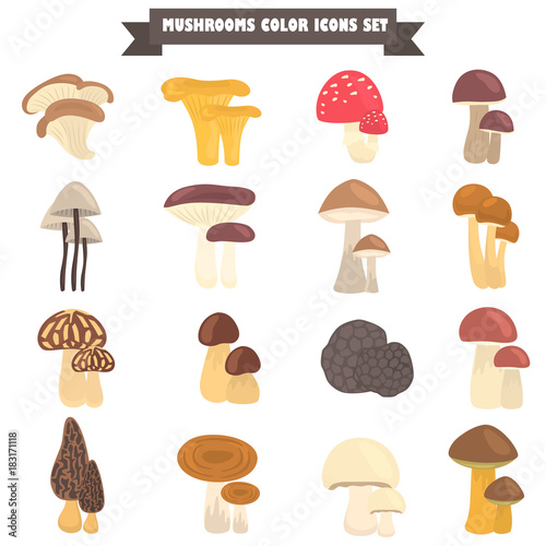 Set of edible and poison mushrooms color flat icons