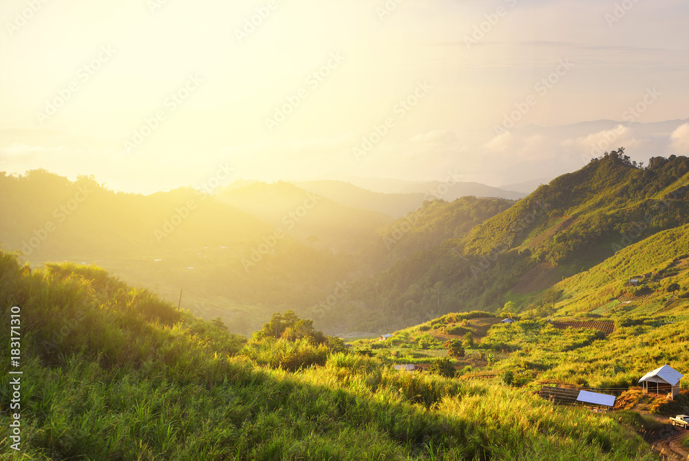 Wonderful scenery in mountains during summer colorful sunset.