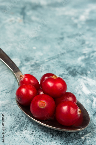 Juicy ripe berry cranberries on blue background with copy space